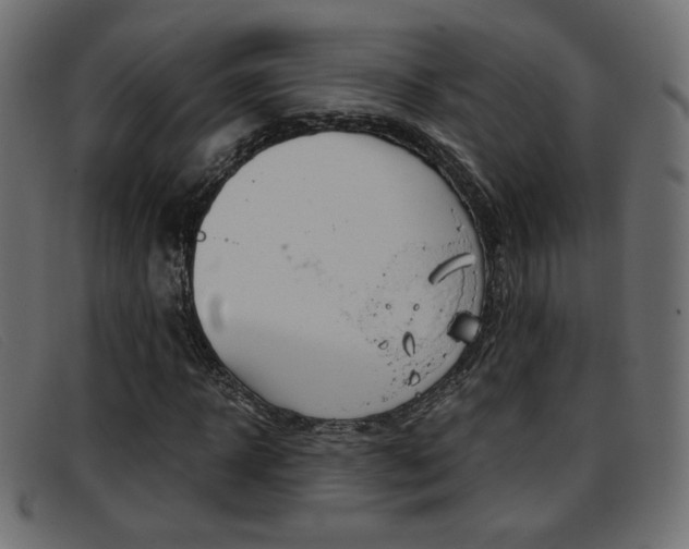 X0000093390918200710111345