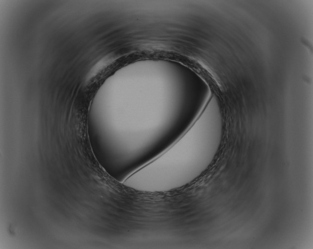 X0000093390919200710111345
