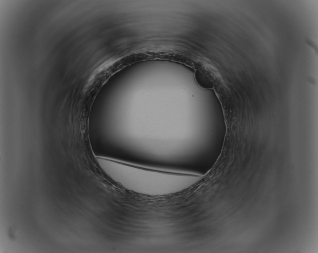 X0000093390920200710111345