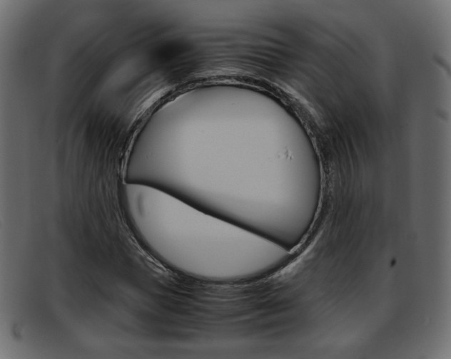 X0000093390921200710111345
