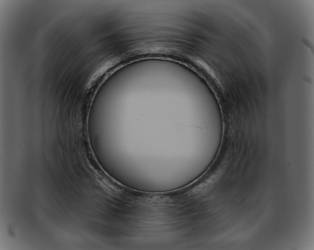 X0000093390922200710111345