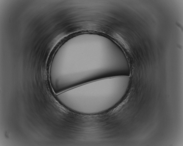 X0000093390924200710111345