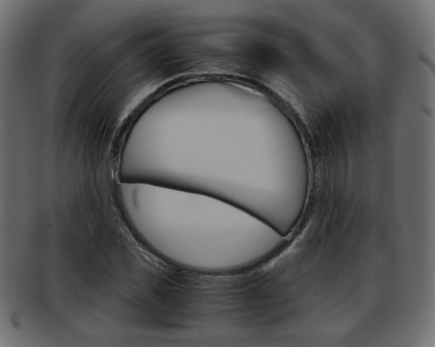 X0000093390925200710111345