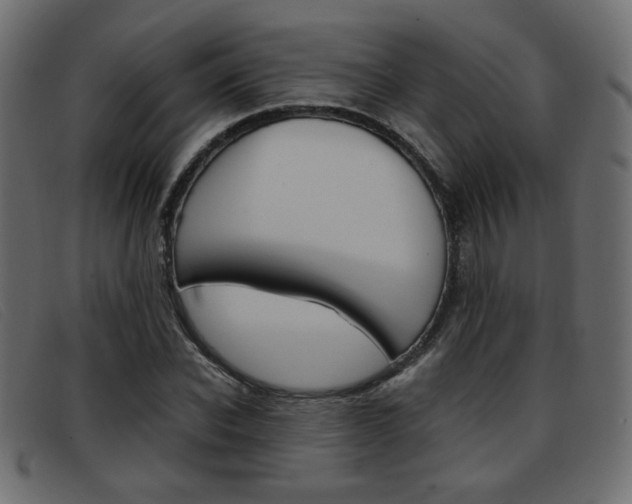 X0000093390926200710111345