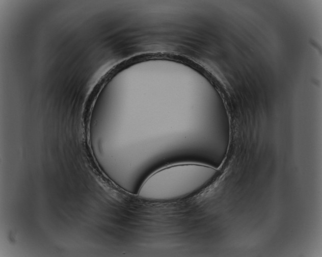 X0000093390927200710111345