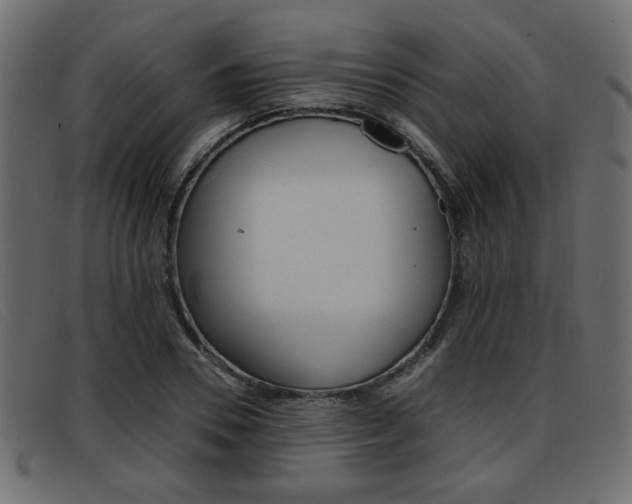 X0000093390930200710111345