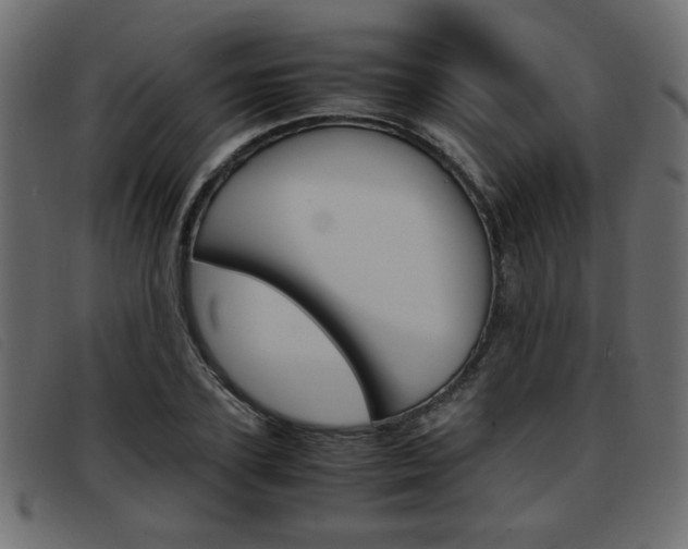 X0000093390931200710111345