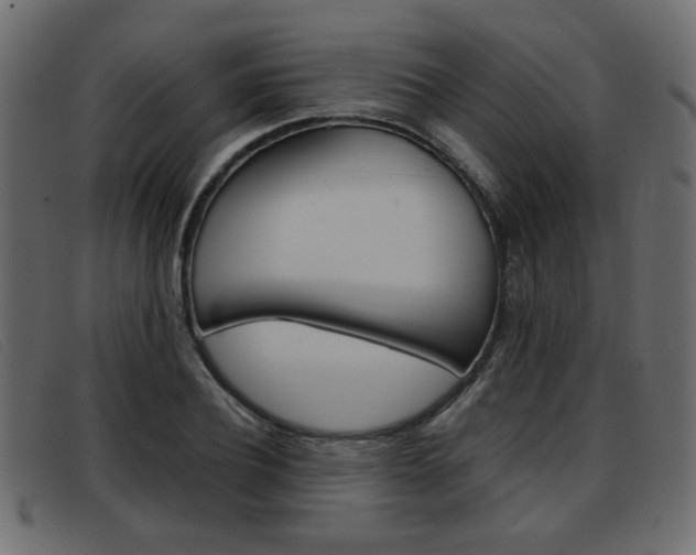 X0000093390932200710111345