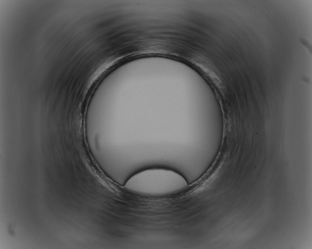 X0000093390933200710111345
