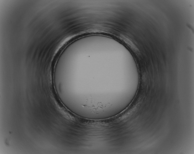 X0000093390934200710111345