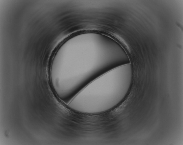 X0000093390935200710111345