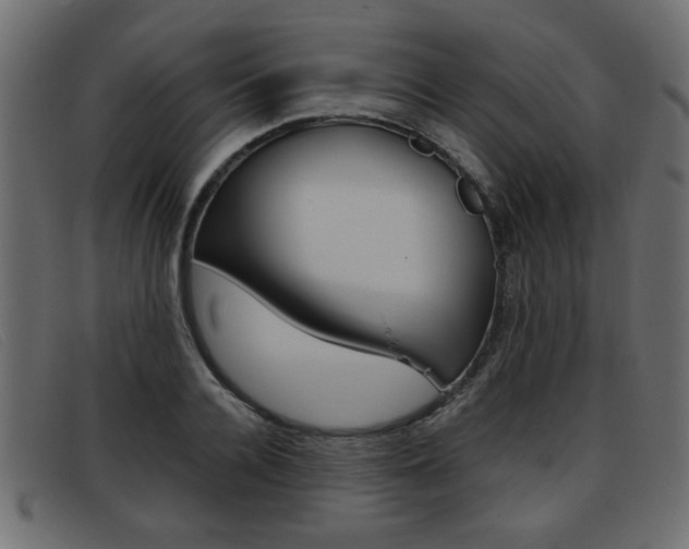 X0000093390936200710111345
