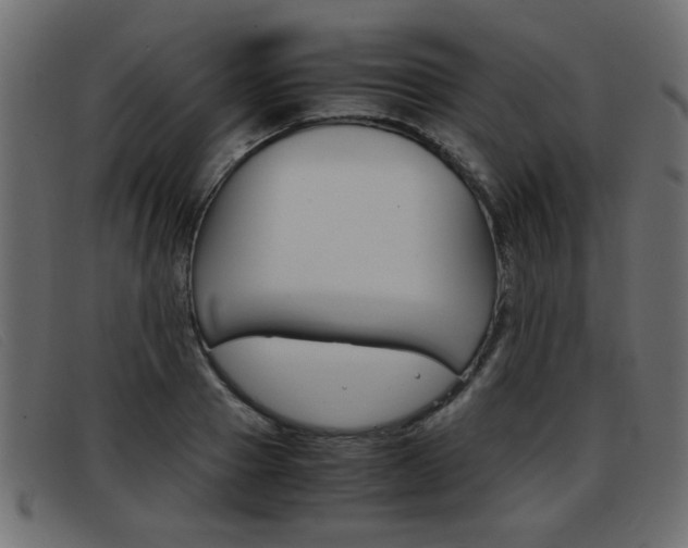 X0000093390937200710111345