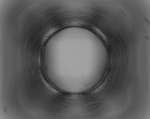 X0000093390938200710111345