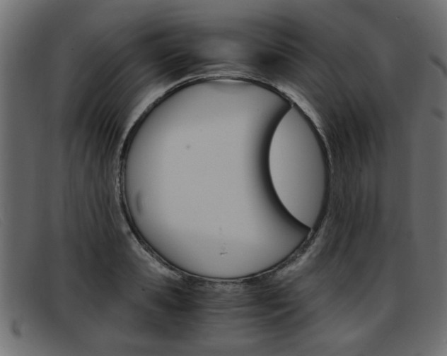 X0000093390941200710111345