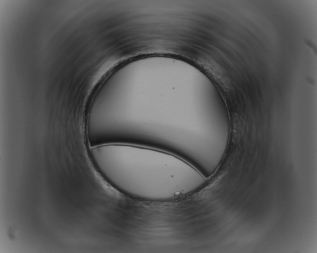 X0000093390942200710111345
