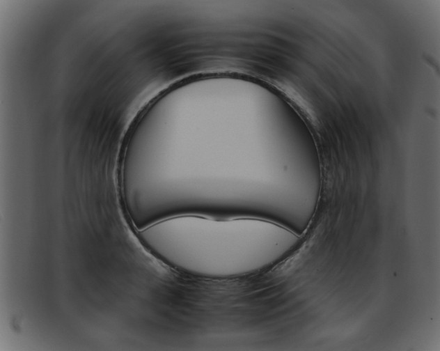X0000093390943200710111345