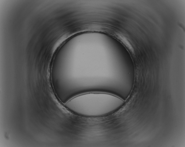 X0000093390944200710111345