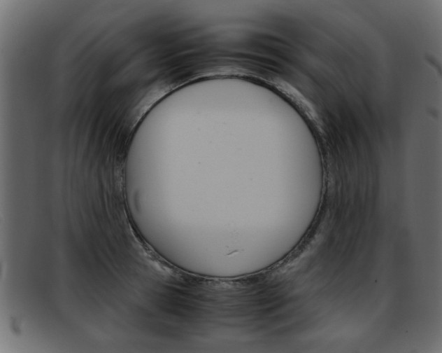 X0000093390945200710111345