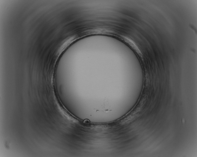 X0000093390946200710111345