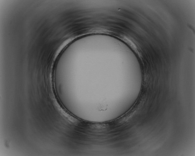 X0000093390947200710111345