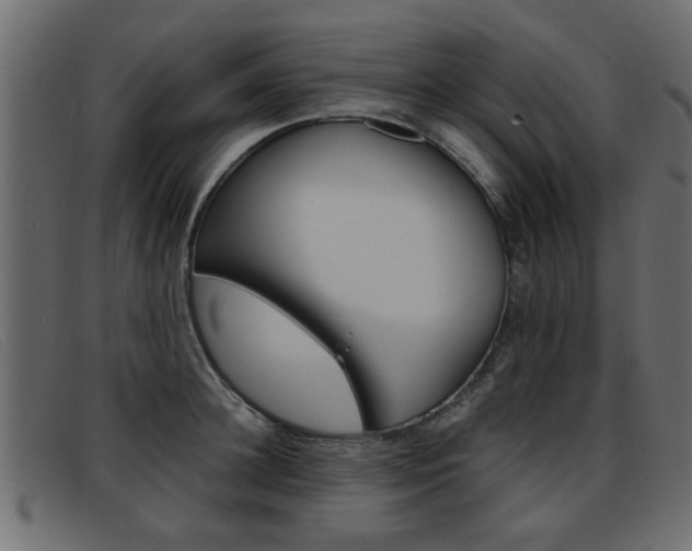 X0000093390948200710111345