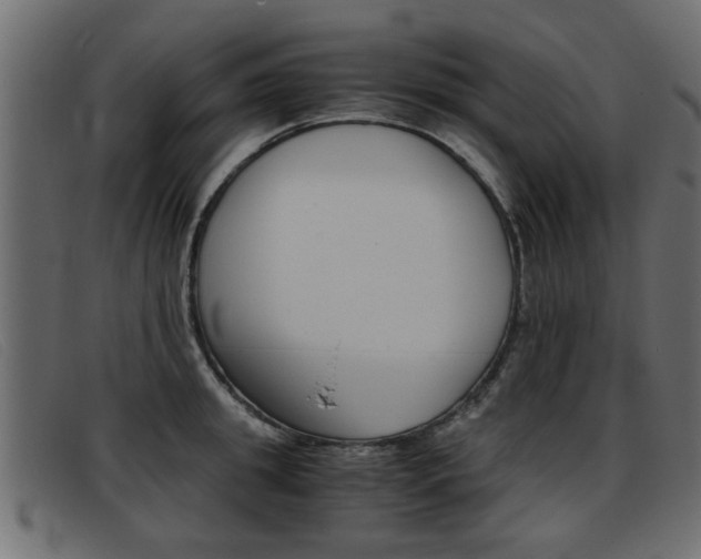 X0000093390949200710111345
