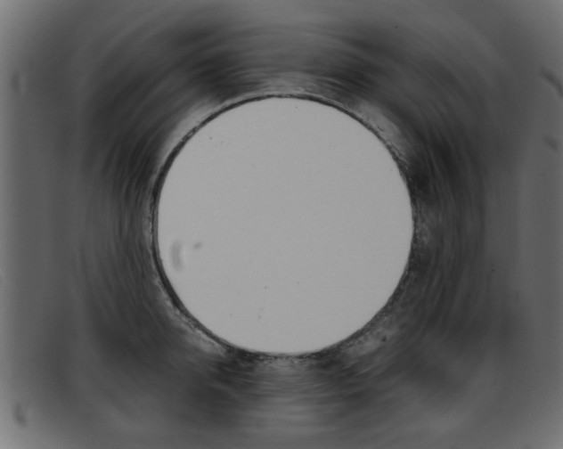 X0000093390950200710111345