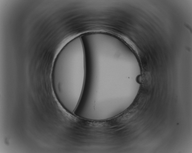 X0000093390951200710111345