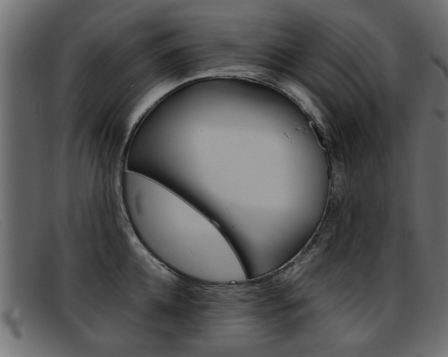 X0000093390952200710111345