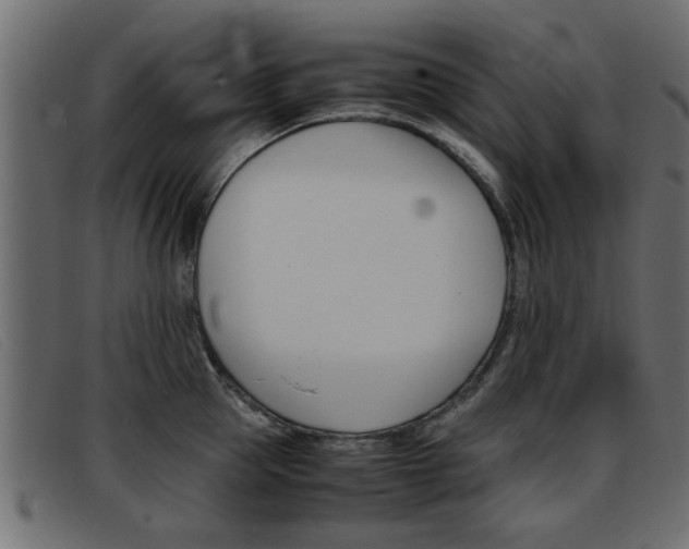 X0000093390953200710111345
