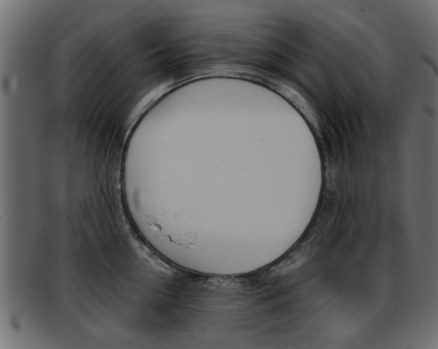 X0000093390954200710111345