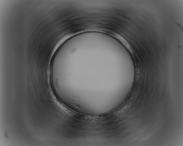 X0000093390955200710111345
