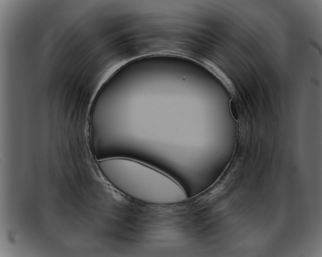 X0000093390956200710111345