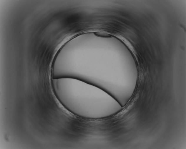 X0000093390957200710111345