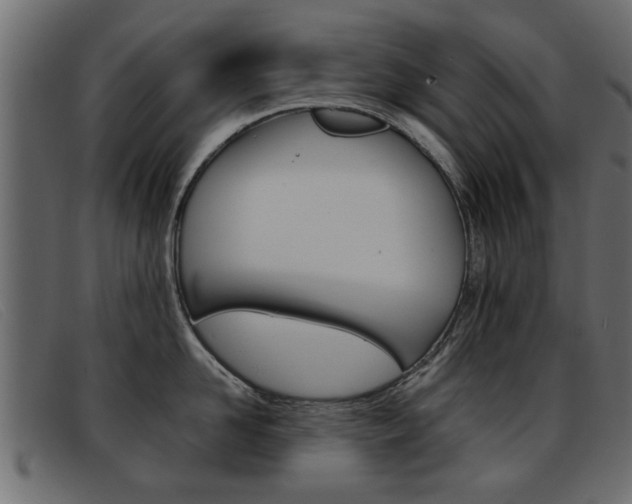 X0000093390958200710111345