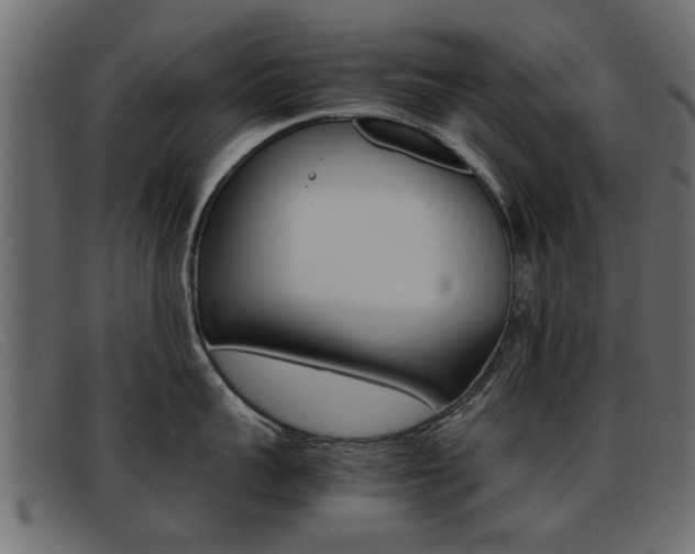 X0000093390959200710111345
