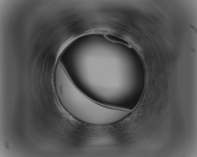 X0000093390960200710111345