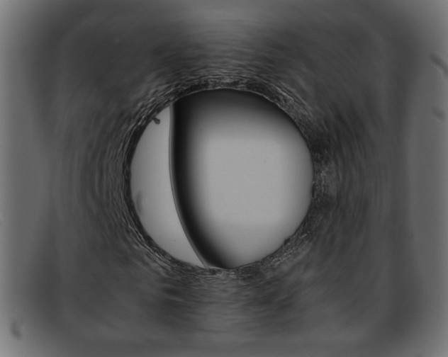 X0000093390961200710111345