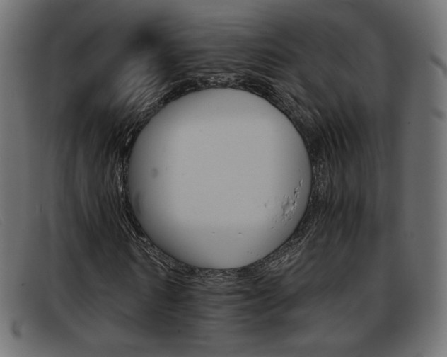 X0000093390962200710111345
