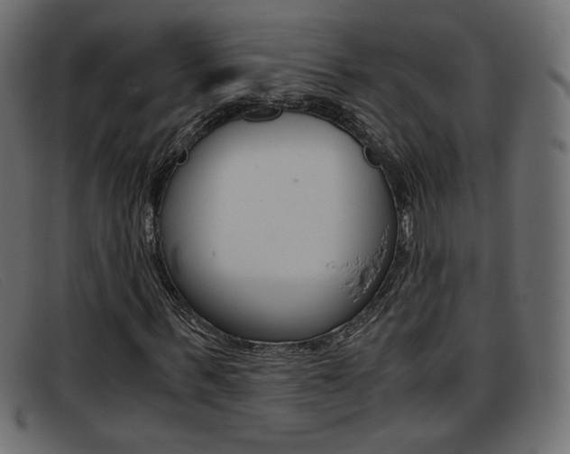 X0000093390963200710111345