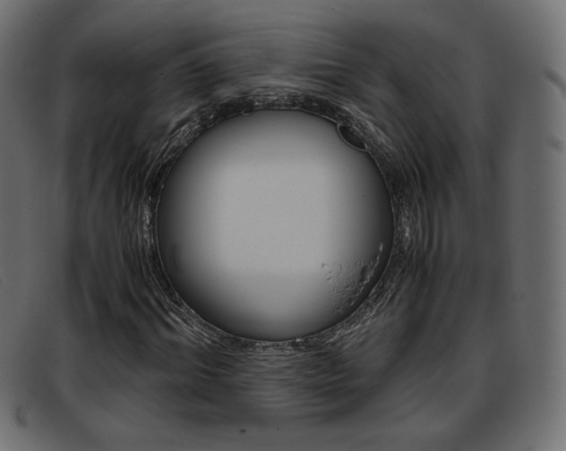 X0000093390964200710111345
