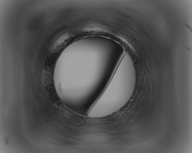 X0000093390967200710111345