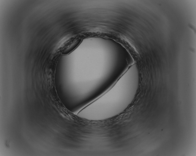 X0000093390968200710111345