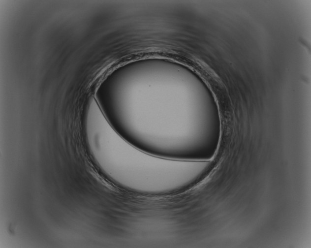X0000093390969200710111345
