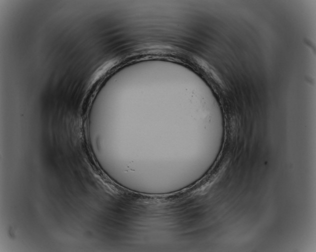 X0000093390970200710111345