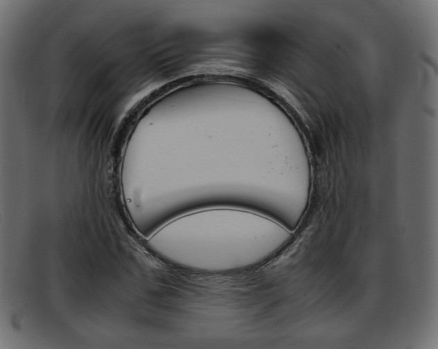 X0000093390971200710111345