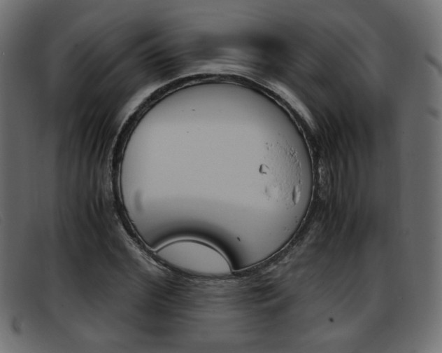 X0000093390972200710111345