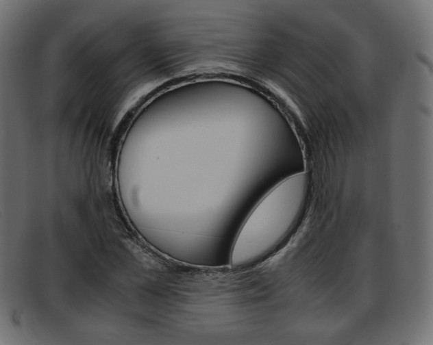 X0000093390973200710111345