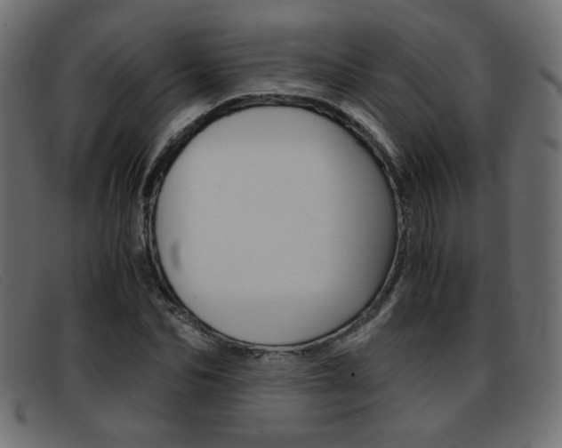 X0000093390974200710111345